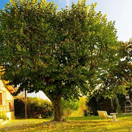 La Forge D'annie Castelnavet